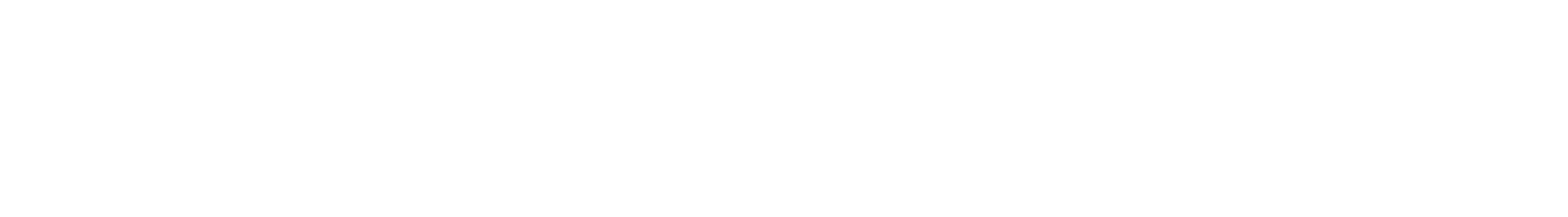 Leznit Software